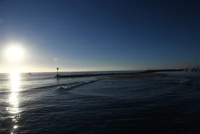 DSC_6565 (Large).JPG